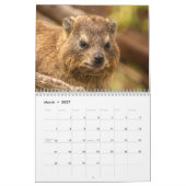 Wildes Leben in Südafrika 2025 Kalender (Mär 2027)