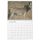 Wildes Leben in Südafrika 2025 Kalender (Jan 2027)