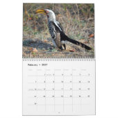 Wildes Leben in Südafrika 2025 Kalender (Feb 2027)