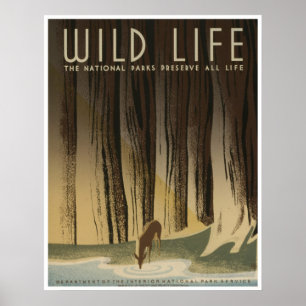 Wildes Leben: National Parkservice Poster