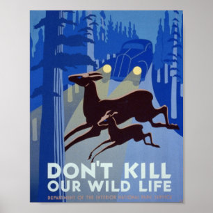 Wildes Leben Unvergessliche Vintage Fotos Alte Äst Poster