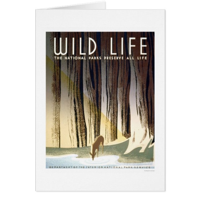 Wildes Lebens-Nationalpark WPA 1940 (Vorne)