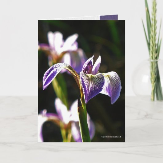 Wildes Lila Karte (Vorderseite)