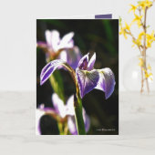 Wildes Lila Karte (Gelbe Blume)