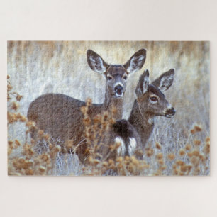 Wildes Maultierhirsch-Paar   Kalifornien Puzzle