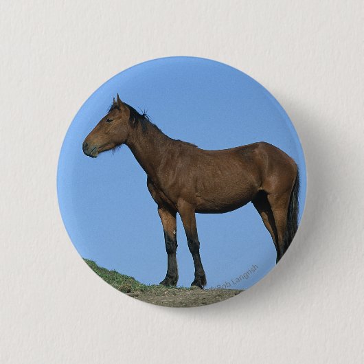 Wildes Mustang-Pferd Button (Vorderseite)