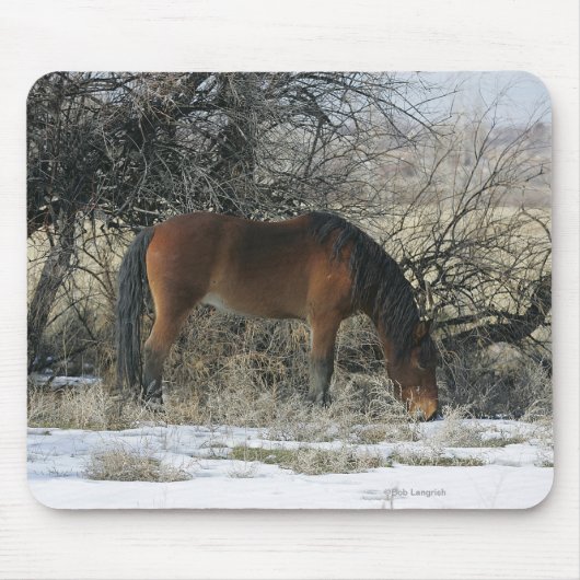 Wildes Mustang-Pferd im Schnee 1 Mousepad (Vorne)