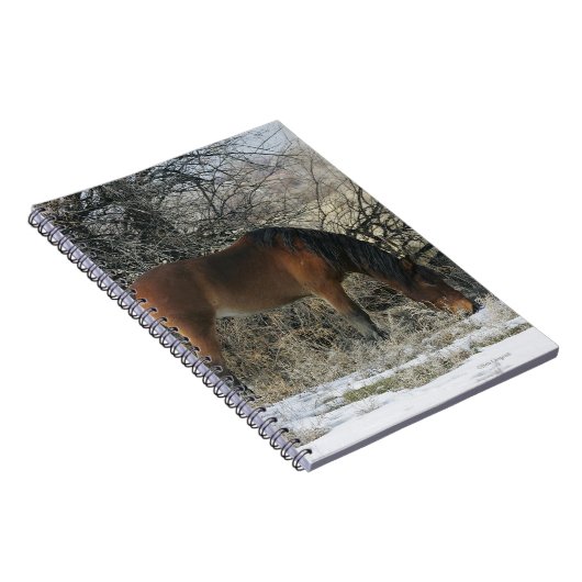 Wildes Mustang-Pferd im Schnee 1 Notizblock (Rechte Seite)