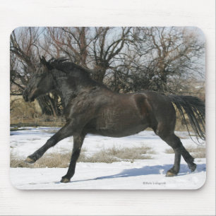 Wildes Mustang-Pferd im Schnee 2 Mousepad