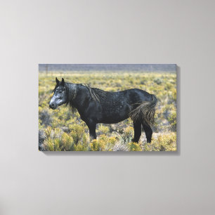 Wildes Mustang-Pferd in der Wüste Leinwanddruck