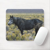 Wildes Mustang-Pferd in der Wüste Mousepad (Mit Mouse)