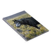 Wildes Mustang-Pferd in der Wüste Notizblock (Rechte Seite)