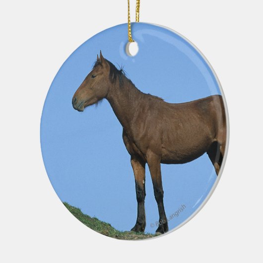 Wildes Mustang-Pferd Keramikornament (Links)