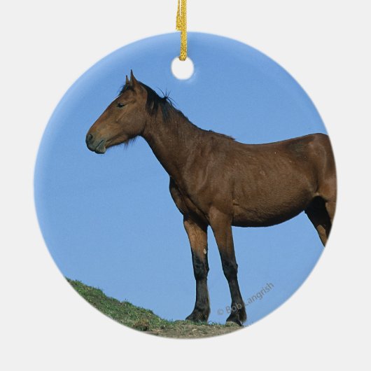 Wildes Mustang-Pferd Keramikornament (Hinten)