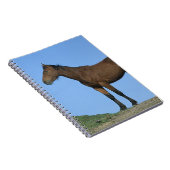 Wildes Mustang-Pferd Notizblock (Rechte Seite)