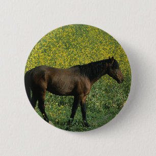 Wildes Mustang-Pferd stehend in den Blumen Button