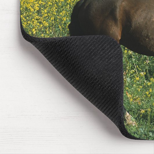 Wildes Mustang-Pferd stehend in den Blumen Mousepad (Ecke)
