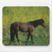 Wildes Mustang-Pferd stehend in den Blumen Mousepad (Vorne)