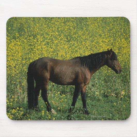 Wildes Mustang-Pferd stehend in den Blumen Mousepad (Vorne)