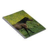 Wildes Mustang-Pferd stehend in den Blumen Notizblock (Rechte Seite)