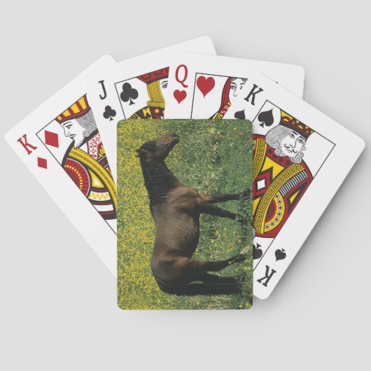 Wildes Mustang-Pferd stehend in den Blumen Spielkarten (Rückseite)