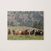 Wildes Mustang-Puzzlespiel mit Geschenkboxen Puzzle (Horizontal)