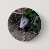 Wildes Opossum Button (Vorderseite)