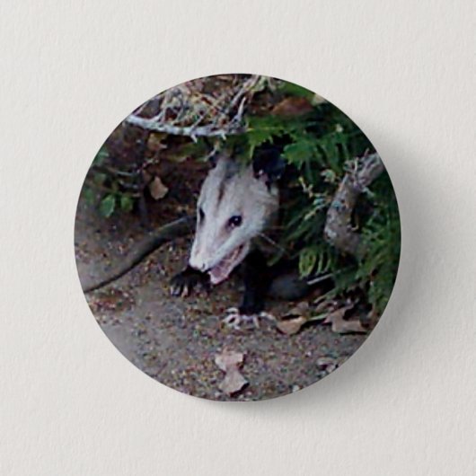 Wildes Opossum Button (Vorderseite)