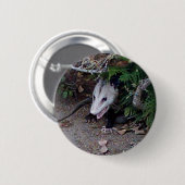 Wildes Opossum Button (Vorne & Hinten)