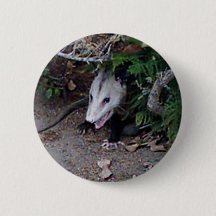 Wildes Opossum Button