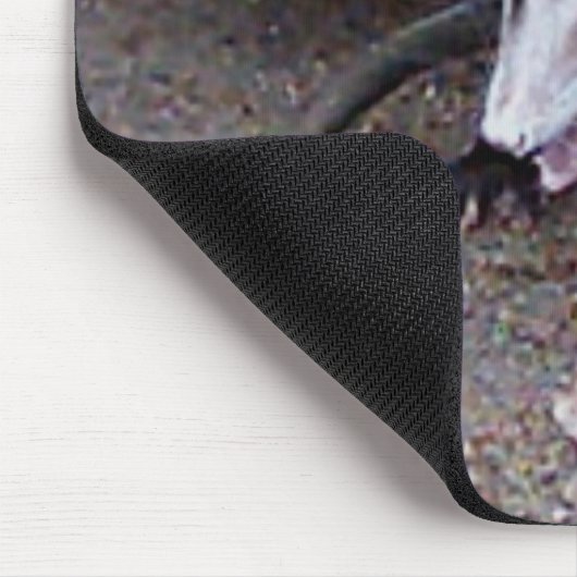 Wildes Opossum Mousepad (Ecke)