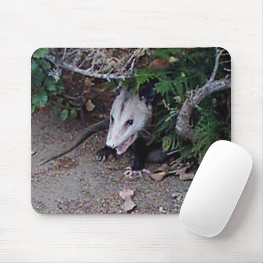 Wildes Opossum Mousepad (Mit Mouse)