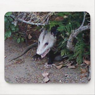Wildes Opossum Mousepad