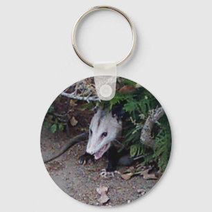 Wildes Opossum Schlüsselanhänger