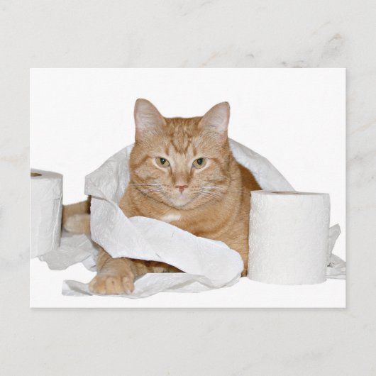 wildes Party Postkarte (Vorderseite)