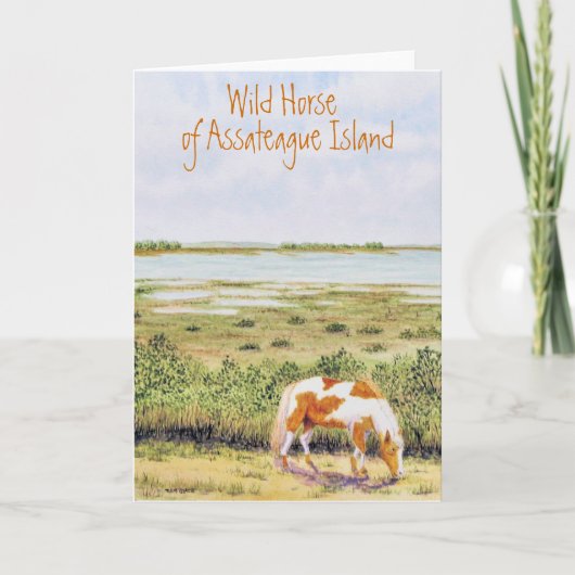 Wildes Pferd auf der Insel Assateague Karte (Vorderseite)