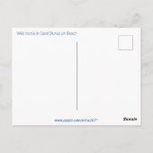 Wildes Pferd auf Grassy Düne bei Sonnenuntergang G Postkarte (Rückseite)