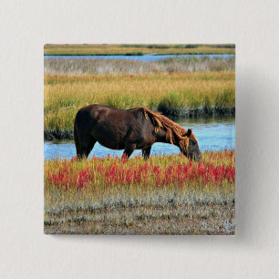 Wildes Pferd, das auf dem Feld isst Button