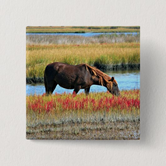 Wildes Pferd, das auf dem Feld isst Button (Vorderseite)