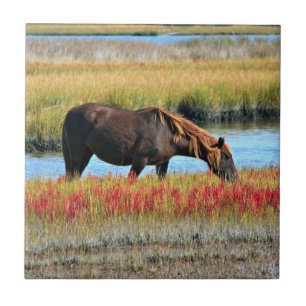 Wildes Pferd, das auf dem Feld isst Fliese