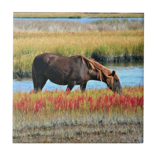 Wildes Pferd, das auf dem Feld isst Fliese (Vorderseite)