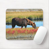 Wildes Pferd, das auf dem Feld isst Mousepad (Mit Mouse)