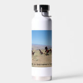 Wildes Pferd Denkmal Wasser Flasche (Links)