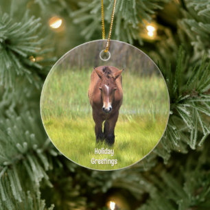 Wildes Pferd der Keramik Assateague Ornament