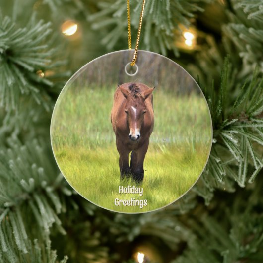 Wildes Pferd der Keramik Assateague Ornament (Baum)