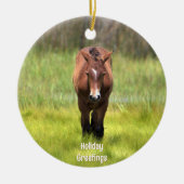 Wildes Pferd der Keramik Assateague Ornament (Vorne)
