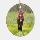 Wildes Pferd der Keramik Assateague Ornament (Links)
