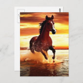 Wildes Pferd durch Surfen galoppieren Postkarte (Vorne/Hinten)