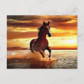 Wildes Pferd durch Surfen galoppieren Postkarte (Vorderseite)