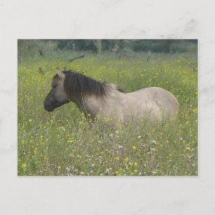 Wildes Pferd im Feld DIY Blume Postkarte